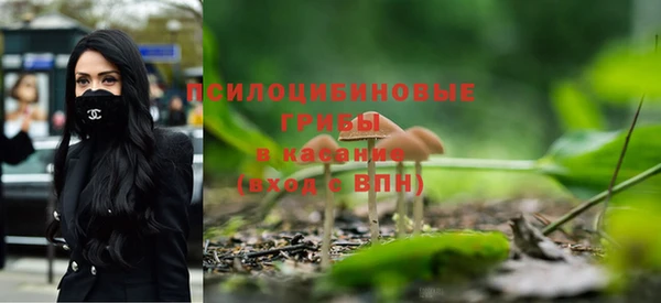 гидропоника Абдулино